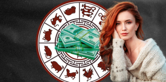 Tri shenjat e horoskopit kinez që do tërheqin sukses financiar gjatë gjithë dhjetorit