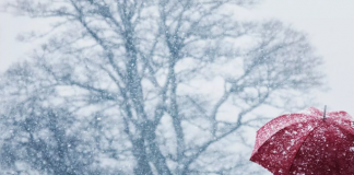 Harrojeni dhjetorin, acari i Polit të Veriut “zbret” në Shqipëri, meteorologjia: Janari nis me stuhi dimërore