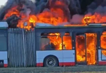 Djegia e 8 autobusëve në Durrës, policia zbardh shkakun