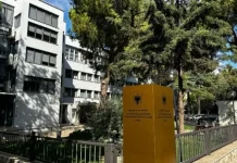 Grupi kriminal me 22 persona të arrestuar, si ranë në kurthin e policëve të infiltruar!