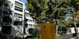 Grupi kriminal me 22 persona të arrestuar, si ranë në kurthin e policëve të infiltruar!