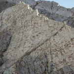 Zbulim shkencor i veçantë, gjeten mijëra gjurmë dinosaurësh në Italinë Veriore