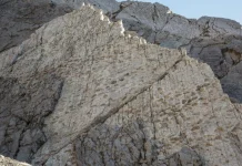 Zbulim shkencor i veçantë, gjeten mijëra gjurmë dinosaurësh në Italinë Veriore