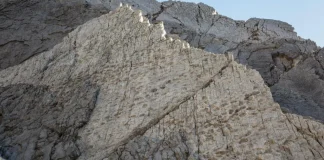 Zbulim shkencor i veçantë, gjeten mijëra gjurmë dinosaurësh në Italinë Veriore