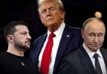 Shtëpia e Bardhë përcjell zhgënjimin e Trumpit me Ukrainën dhe Rusinë: Mjaft me fjalë, duhen veprime