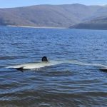 Rrëzohet avioni në Mavrovë/ Lëndohen dy shtetas të Kosovës