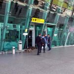 Linjë ajrore Shqipëri – Kanada/ Qeveria shqiptare firmos vendimin. Fluturimet nisin në qershor