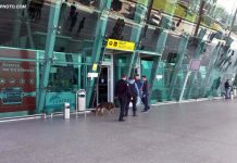 Linjë ajrore Shqipëri – Kanada/ Qeveria shqiptare firmos vendimin. Fluturimet nisin në qershor