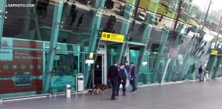 Linjë ajrore Shqipëri – Kanada/ Qeveria shqiptare firmos vendimin. Fluturimet nisin në qershor