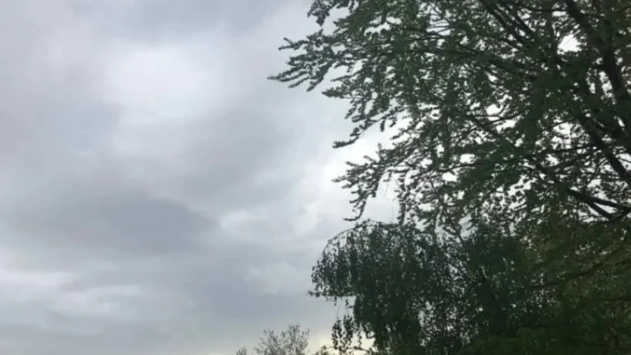 Moti_Reshje-Shiu_1-780x449-2_sd