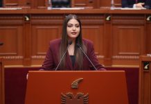 Projekti hekurudhor që rikonfirmon dhe Elbasanin si nyje të Europës