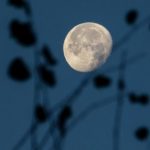 Hëna e Plotë e Dhjetorit, këto janë 4 shenjat e horoksopit që do të ndikohen më shumë