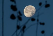 Hëna e Plotë e Dhjetorit, këto janë 4 shenjat e horoksopit që do të ndikohen më shumë