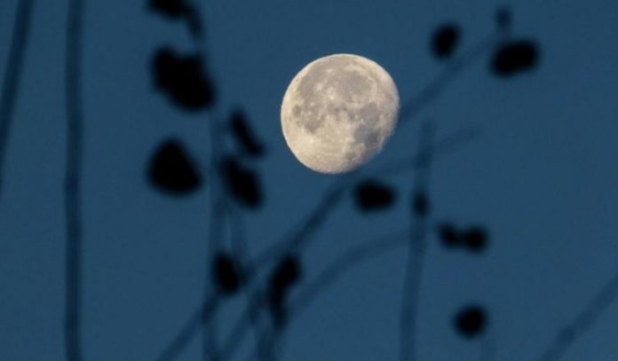 hena-e-plote-752x440