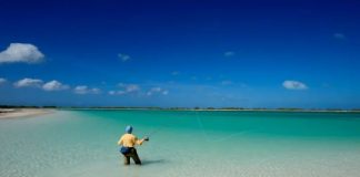 Kombi i largët i Paqësorit, vendi i parë në botë që mirëpret vitin 2026