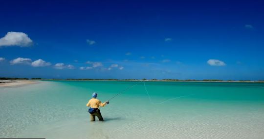 Kombi i largët i Paqësorit  vendi i parë në botë që mirëpret vitin 2026