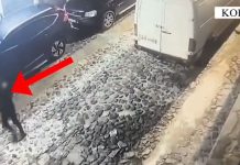 Zbardhen dy raste të vjedhjes së bizneseve në Korçë, arrestohen dy persona