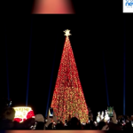 Magjia e festave të fundvitit! Tirana “ndez” dritat e pemës gjigande në sheshin “Skënderbej”