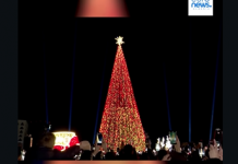 Magjia e festave të fundvitit! Tirana “ndez” dritat e pemës gjigande në sheshin “Skënderbej”