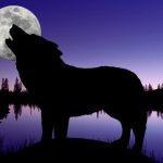 Viti i Ri nis me ‘spektakël qiellor’, sonte mos harroni të shihni ‘Hënën e Ujkut’! Cilat shenja të horoskopit do të preken nga ky fenomen