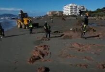 Aksioni për pastrimin e Plazhit të Vjetër në Vlorë, Rama publikon pamjet