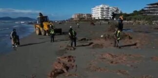 Aksioni për pastrimin e Plazhit të Vjetër në Vlorë, Rama publikon pamjet