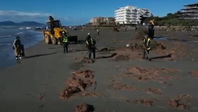 Aksioni për pastrimin e Plazhit të Vjetër në Vlorë  Rama publikon pamjet