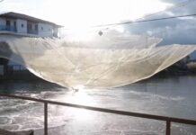 Kryeministri Rama publikon videon: Hidrovorët në Darzezë të Fierit në punë pa ndërprerje për përballimin e reshjeve intensive