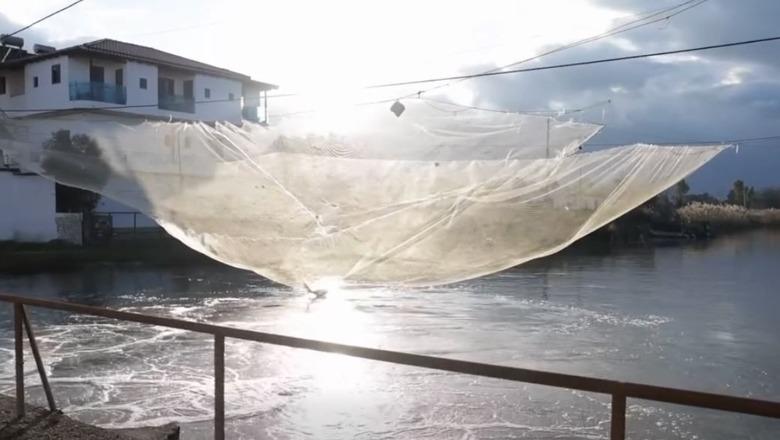 Kryeministri Rama publikon videon  Hidrovorët në Darzezë të Fierit në punë pa ndërprerje për përballimin e reshjeve intensive