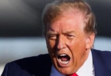 ‘Nuk do të doje të jetoje brenda kokës së tij’: Dilema e diplomatëve në epokën e presidentit Donald Trump!