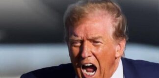 ‘Nuk do të doje të jetoje brenda kokës së tij’: Dilema e diplomatëve në epokën e presidentit Donald Trump!