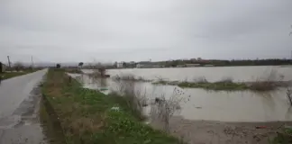 U përmbyt nga reshjet, ja si paraqitet situata në Durrës