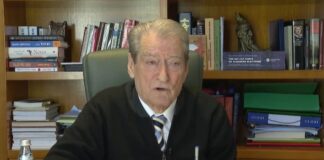 Berisha sulmon Topin, Bashën, Patozin dhe Alibeajn: Fatkeqësi e kombit, pseudointelektualë…