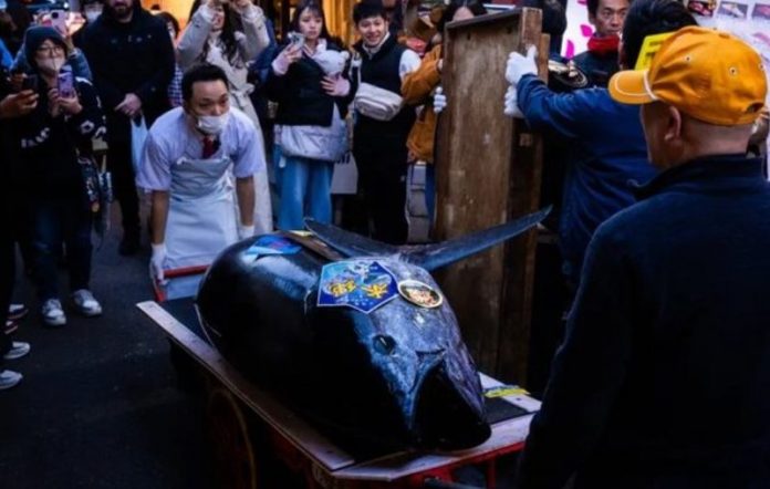 -800-0-1767688931xscreenshot-2026-01-06-094201-736