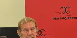 FOTO-LAJM: Berisha fliste për rrëzimin e qeverisë, aleatin e tij të madh e zë gjumi