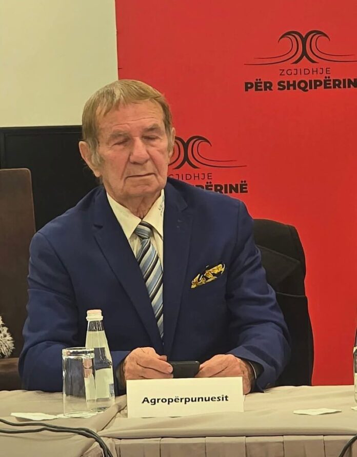 FOTO LAJM  Berisha fliste për rrëzimin e qeverisë  aleatin e tij të madh e zë gjumi