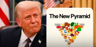 SHBA prezanton “Piramidën e ushqimit të vërtetë” për qytetarët: Më pak bukë, makarona dhe drithëra