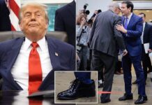 Momenti i pazakontë në Shtëpinë e Bardhë: Trump u blen këpucë zyrtarëve të lartë, por disa numra më të mëdha