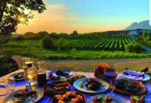 Rritja e qëndrueshme e agroturizmit pritet të vazhdojë edhe këtë vit