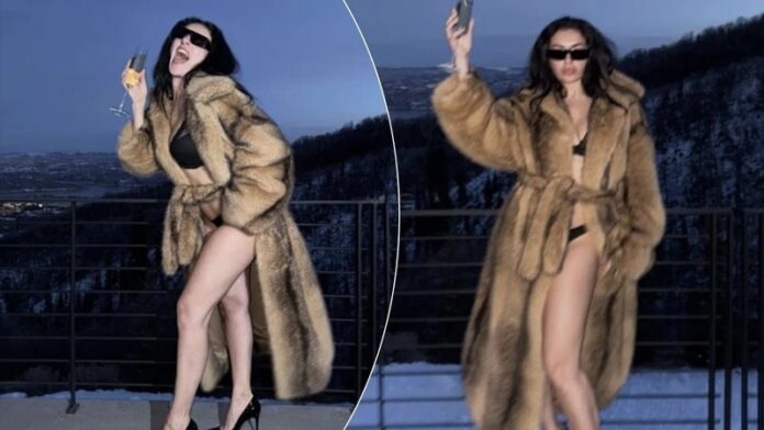 -800-0-1769506414ximg-3435-968