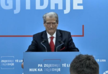 Shtatë betejat e fituara nga Berisha gjatë 13 viteve të revolucionit paqësor