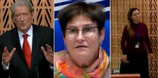 Namir Lapardhaja: Ajo që ka ndodhur me Berishën në Strasburg është vetasgjësuese për PD-në