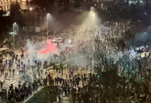 POLITICO: Shërbimet serbe testuan topa zanorë mbi qen, në bashkëpunim me Rusinë