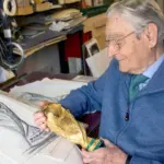 Nderohet në Milano “arkitekti” i Kupës së Botës, fituesi i konkursit të FIFA-s mes 53 modeleve