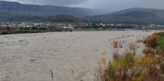 Del lumi Seman nga shtrati, përmbyten tokat bujqësore në Lushnje dhe Divjakë