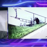 Pamje që transmetohen për herë të parë, momenti kur Kristi del nga shtëpia nëpërmjet murit