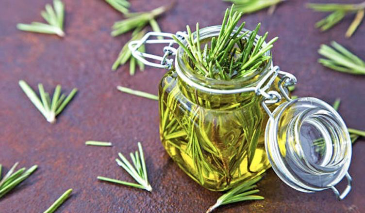 Një aleat i fuqishëm për shëndetin  kjo bimë forcon imunitetin  lehtëson reumatizmin dhe mbron trurin