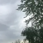 Parashikimi i motit për ditën e sotme