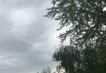 Parashikimi i motit për ditën e sotme