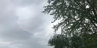 Parashikimi i motit për ditën e sotme